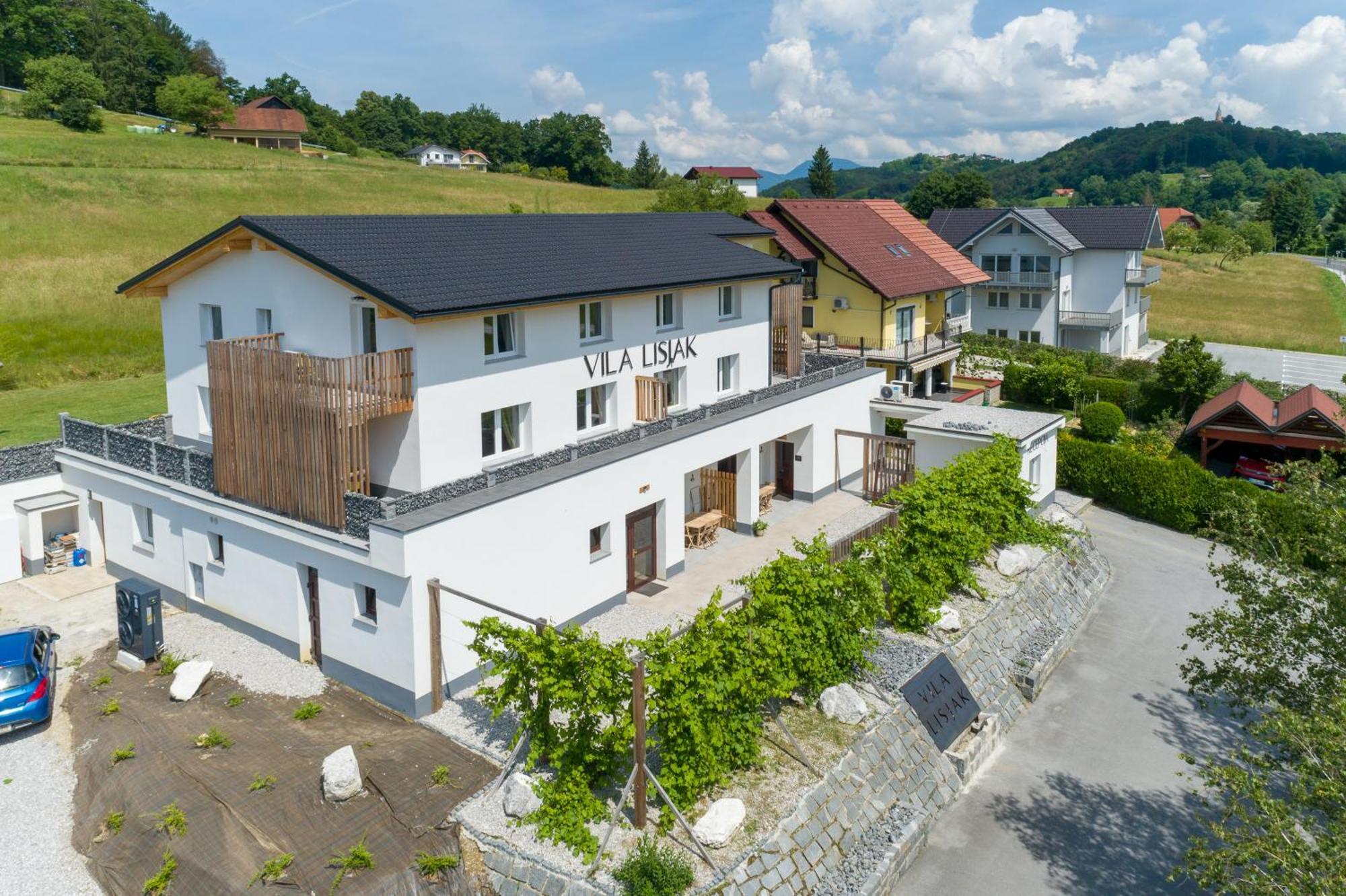 Vila Lisjak - Apartments Podcetrtek Exterior photo